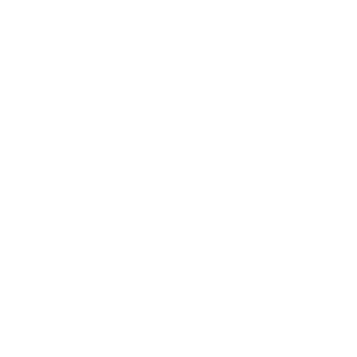 Custom Icon